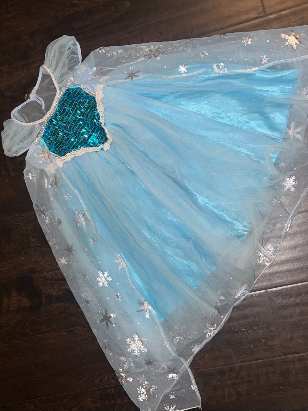Trish Scully Ice Princess costume